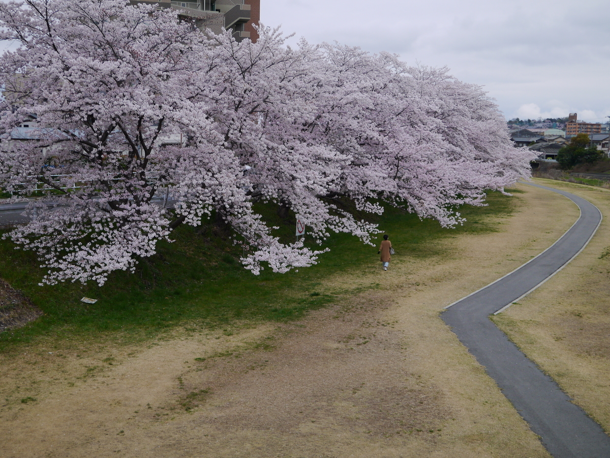 f:id:monoomoi2020:20220403225245j:plain