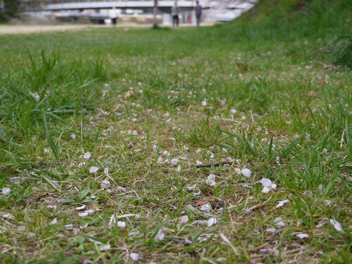 f:id:monoomoi2020:20220403225352j:plain