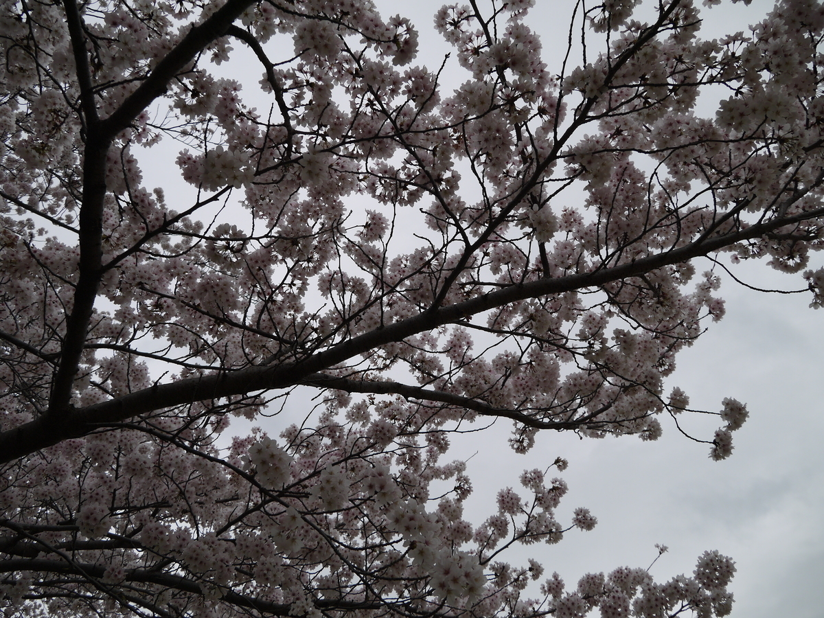 f:id:monoomoi2020:20220403225453j:plain