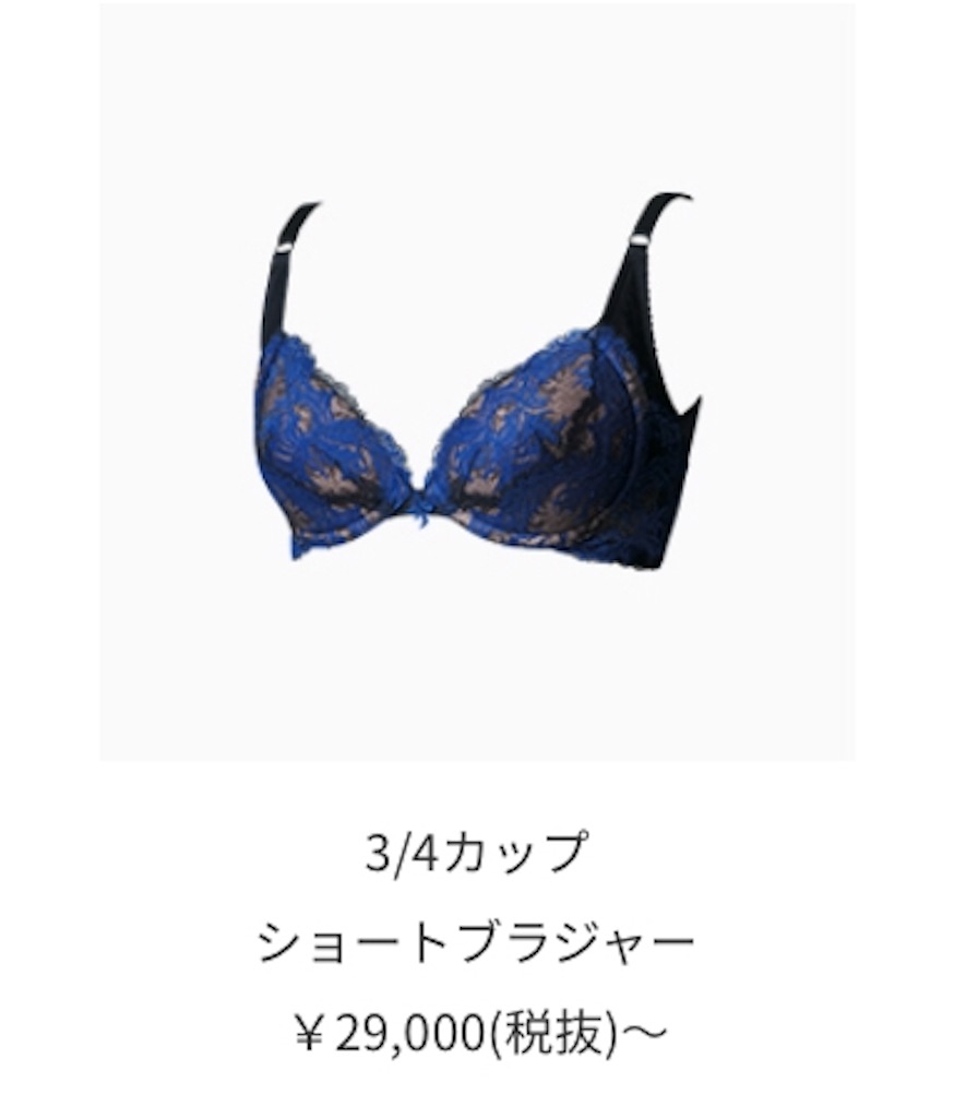 マルコの下着で体系が変わった 美容オタクのブログ