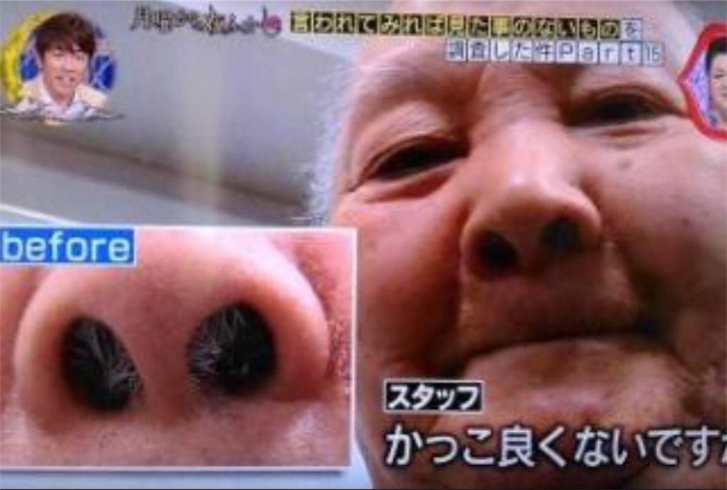 簡単キレイな鼻毛ケア 鼻毛ワックスの効果 試してみた 美容オタクのブログ