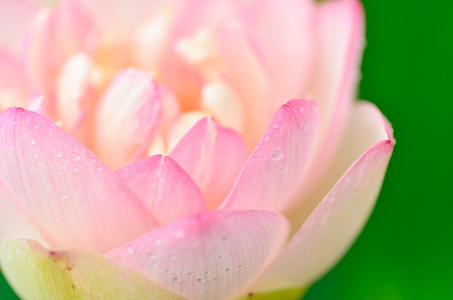 f:id:monozukuri-bu:20190708223717j:plain f:id:monozukuri-bu:20190708223717j:plain