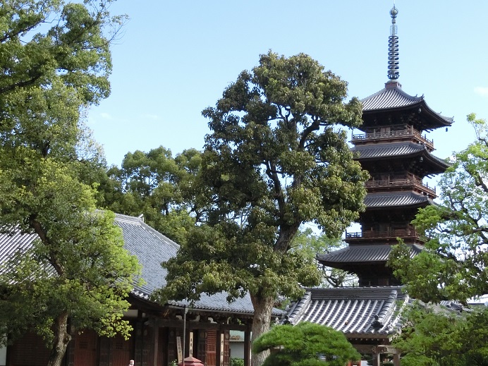 f:id:monozukurimura:20190827192047j:plain f:id:monozukurimura:20190827192047j:plain