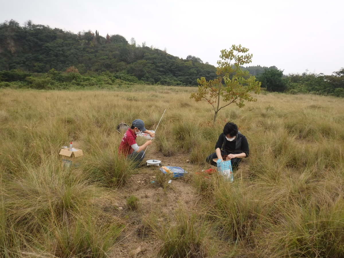 f:id:monozukurimura:20201004194959j:plain f:id:monozukurimura:20201004194959j:plain