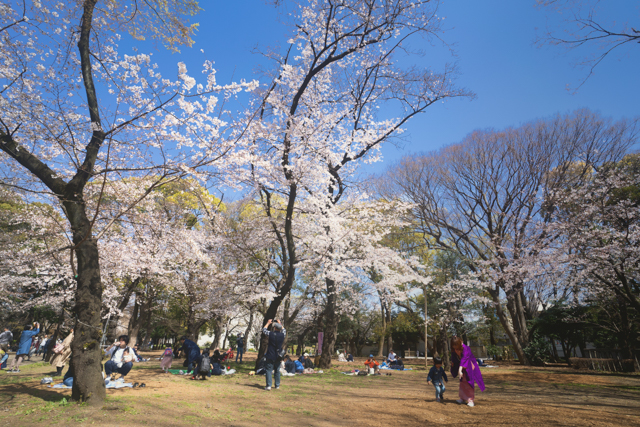 f:id:monphoto:20200411124915j:plain