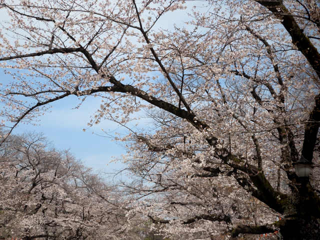 f:id:monphoto:20200411125218j:plain