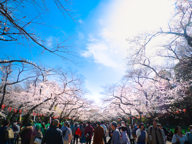 f:id:monphoto:20200411131558j:plain