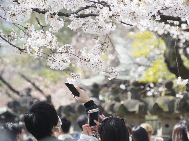 f:id:monphoto:20200411213715j:plain