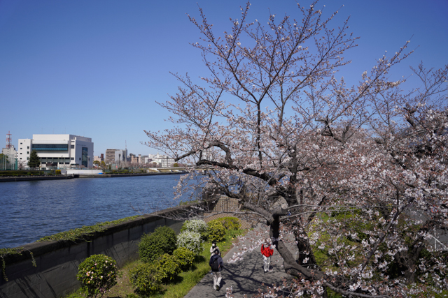 f:id:monphoto:20200517001751j:plain