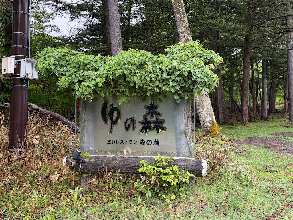 f:id:monpiyo1206:20260616210039j:image