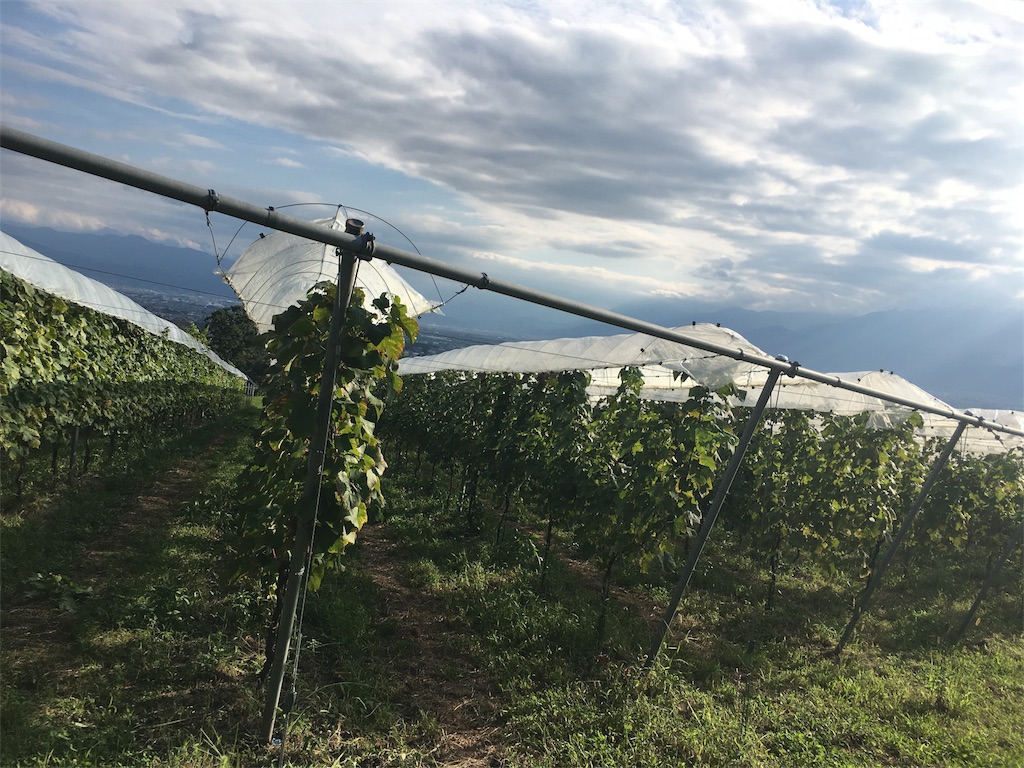 f:id:monsieur0204:20181007010007j:image f:id:monsieur0204:20181007010007j:image