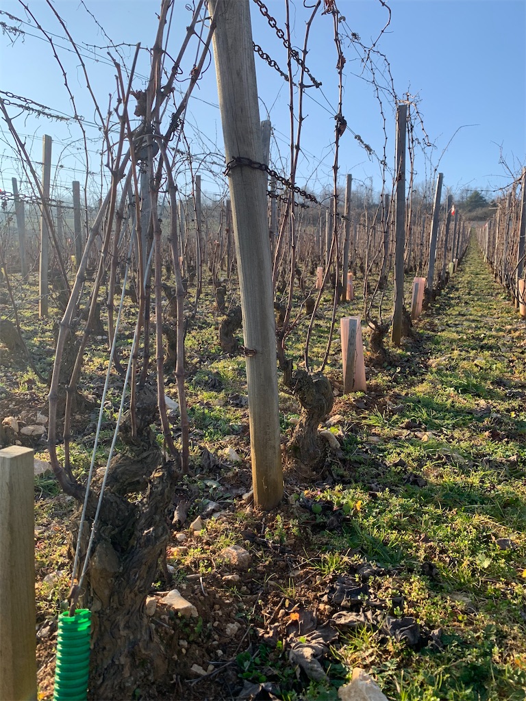 f:id:monsieur0204:20230415225800j:image