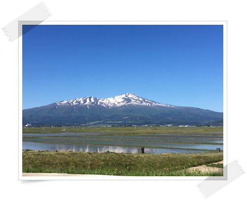 f:id:monster-cat:20170521140212j:plain f:id:monster-cat:20170521140212j:plain