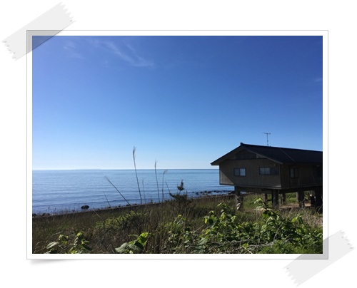 f:id:monster-cat:20170521140422j:plain f:id:monster-cat:20170521140422j:plain