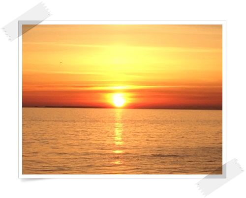 f:id:monster-cat:20170521141032j:plain f:id:monster-cat:20170521141032j:plain