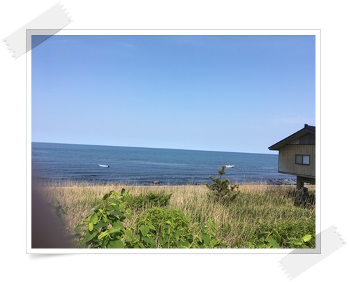 f:id:monster-cat:20170521142700j:plain f:id:monster-cat:20170521142700j:plain