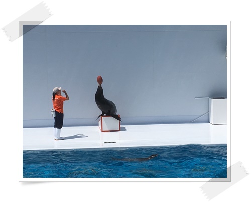 f:id:monster-cat:20170521143206j:plain f:id:monster-cat:20170521143206j:plain