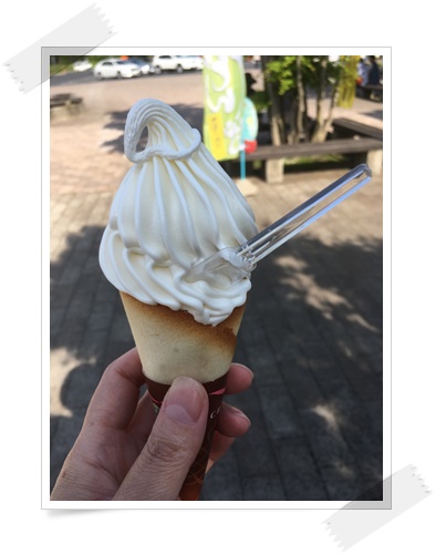 f:id:monster-cat:20170521145603j:plain f:id:monster-cat:20170521145603j:plain