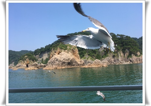 f:id:monster-cat:20170805101927j:plain