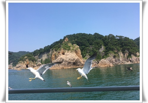 f:id:monster-cat:20170805102614j:plain