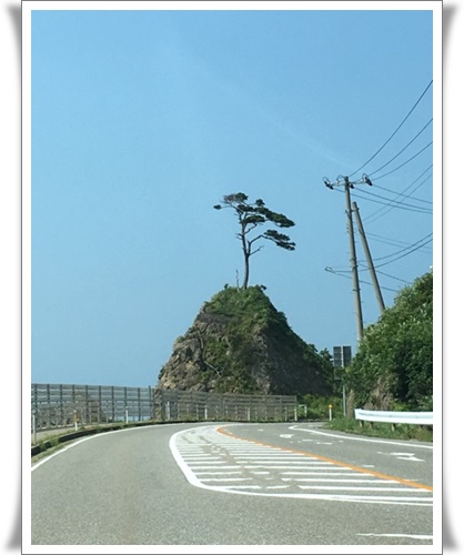 f:id:monster-cat:20170805104418j:plain