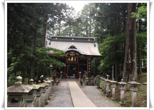 f:id:monster-cat:20180617213707j:plain f:id:monster-cat:20180617213707j:plain