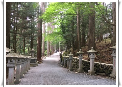 f:id:monster-cat:20180617213942j:plain f:id:monster-cat:20180617213942j:plain