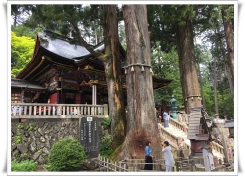 f:id:monster-cat:20180617214143j:plain f:id:monster-cat:20180617214143j:plain