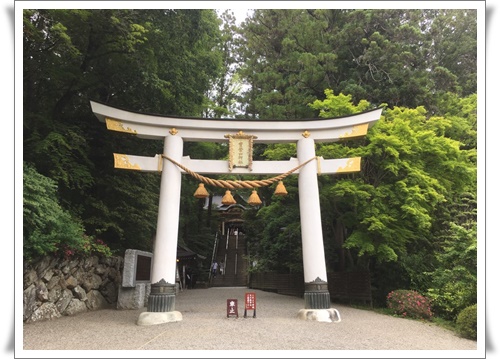 f:id:monster-cat:20180617214637j:plain f:id:monster-cat:20180617214637j:plain