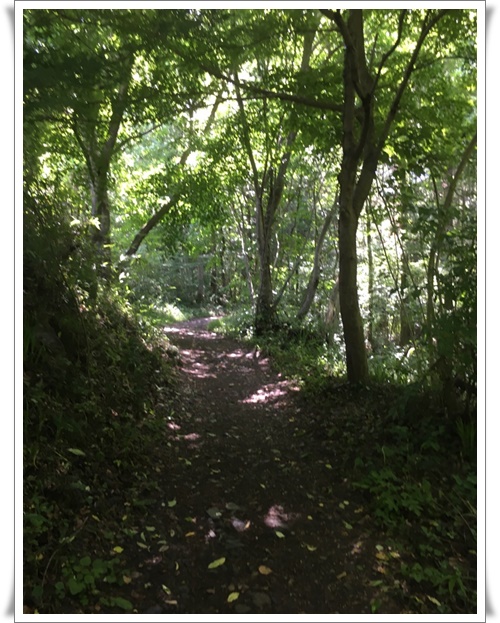 f:id:monster-cat:20180623120114j:plain