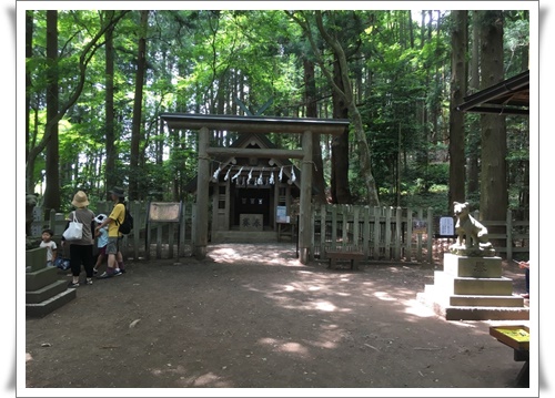 f:id:monster-cat:20180623121230j:plain