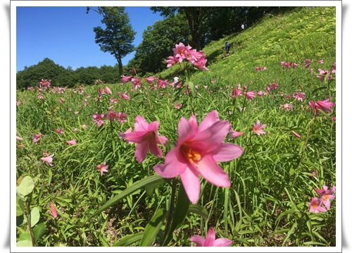 f:id:monster-cat:20180708100245j:plain