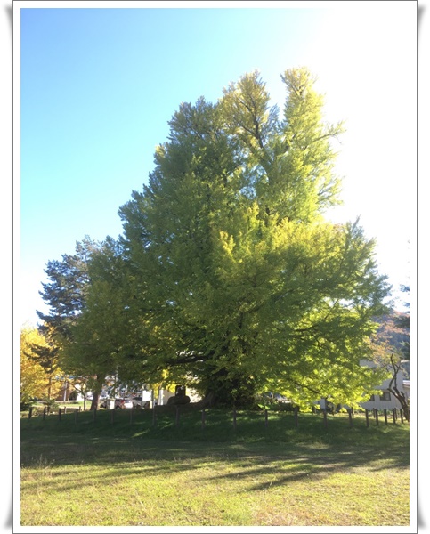 f:id:monster-cat:20191103140612j:plain