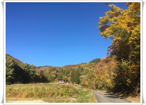 f:id:monster-cat:20191103142636j:plain