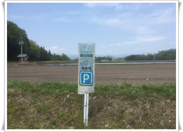 f:id:monster-cat:20210522175122j:plain