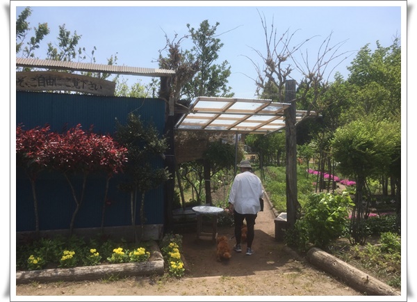 f:id:monster-cat:20210522175204j:plain