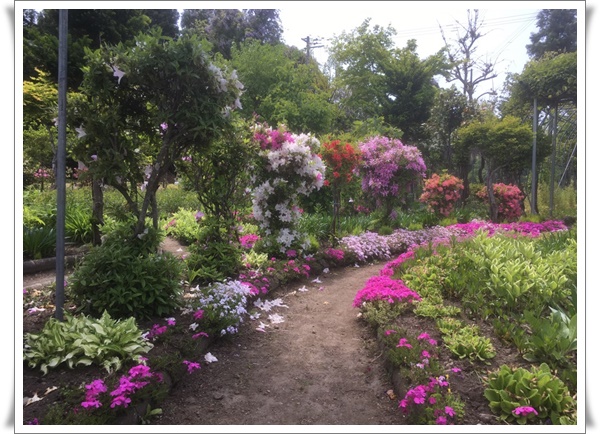 f:id:monster-cat:20210522175218j:plain