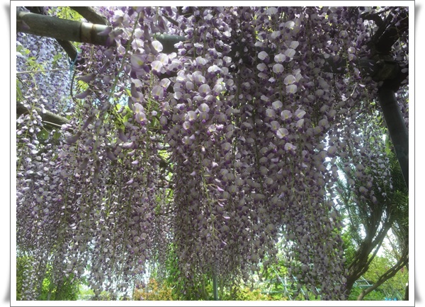 f:id:monster-cat:20210522175247j:plain