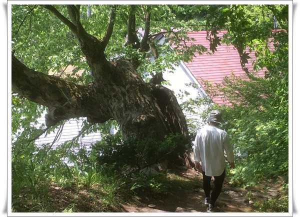 f:id:monster-cat:20210522195059j:plain