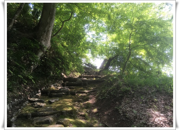 f:id:monster-cat:20210522195209j:plain