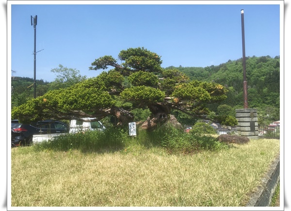 f:id:monster-cat:20210522200301j:plain