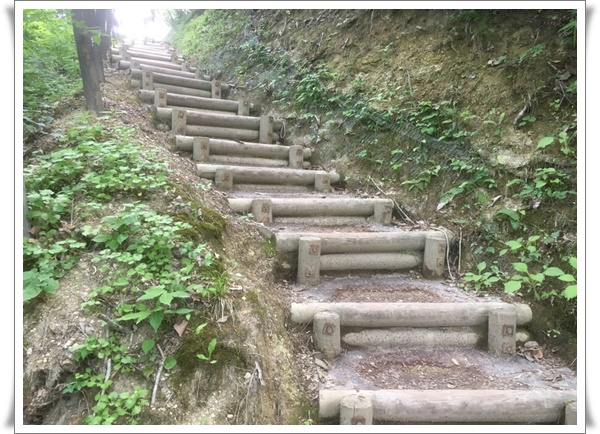 f:id:monster-cat:20210625204011j:plain