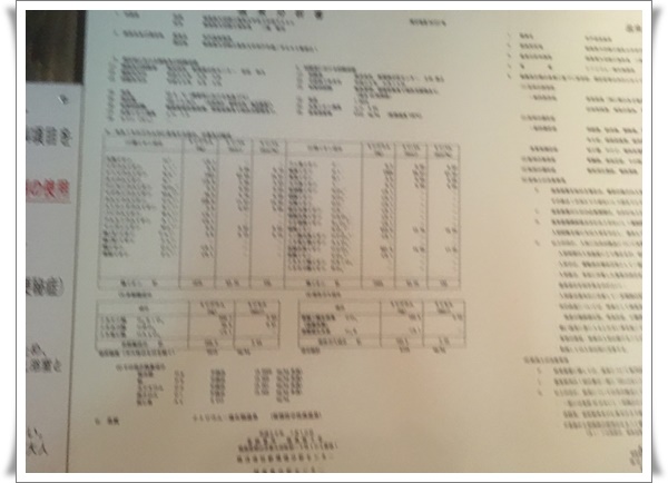 f:id:monster-cat:20210625210110j:plain