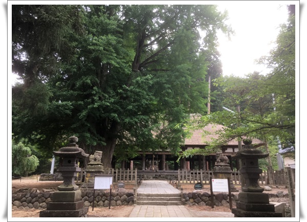 f:id:monster-cat:20210625212316j:plain