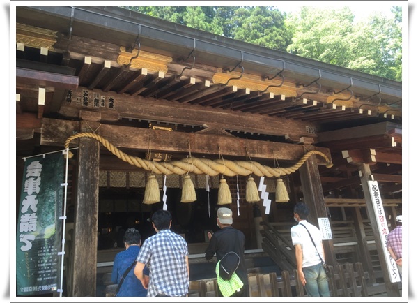 f:id:monster-cat:20210625215834j:plain