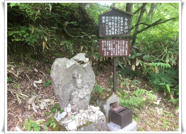 f:id:monster-cat:20210625220053j:plain