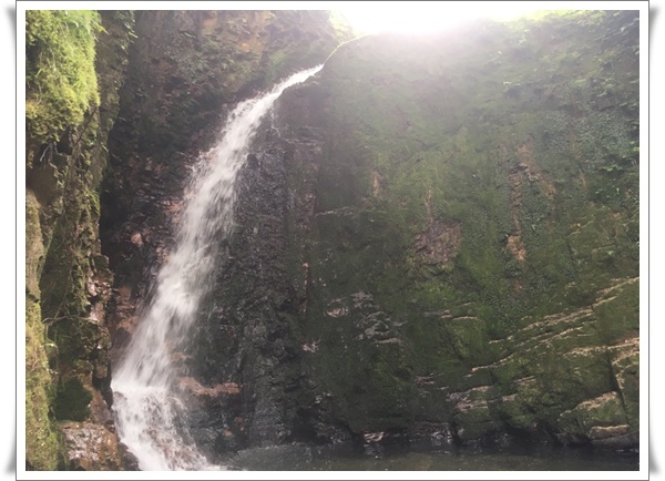 f:id:monster-cat:20210625220219j:plain