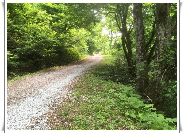 f:id:monster-cat:20210625220535j:plain