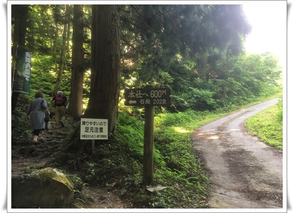 f:id:monster-cat:20210625220755j:plain