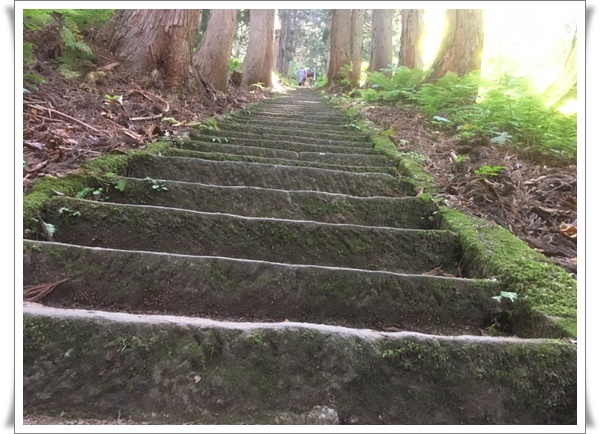 f:id:monster-cat:20210625220842j:plain